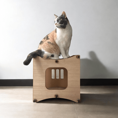 La Jato del Gato - Jato Chicha Vértebra1