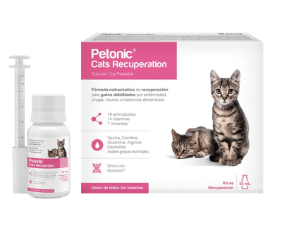 Petonic - Recuperation