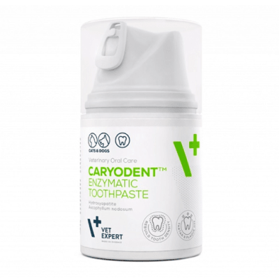 Vet Expert - Caryodent Pasta1