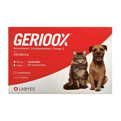 Labyes - Gerioox