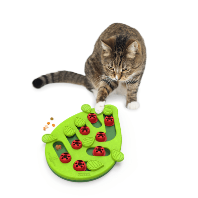 Petstages - Puzzle & Play Buggin Out