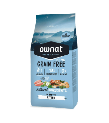 Ownat - GF Prime Kitten