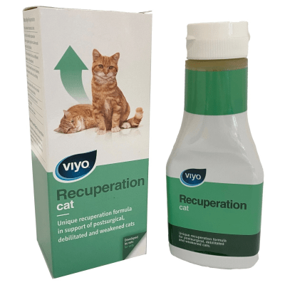 Viyo - Recuperation 150ml