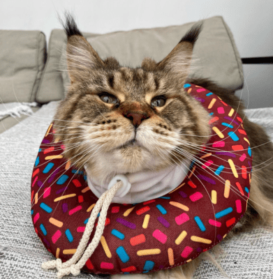 Pupis - Collar Isabelino Donut Donas