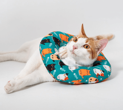 Pupis - Collar Isabelino Donut Gatitos