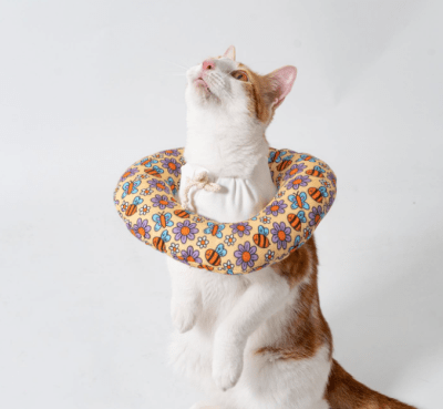 Pupis - Collar Isabelino Donut Primavera