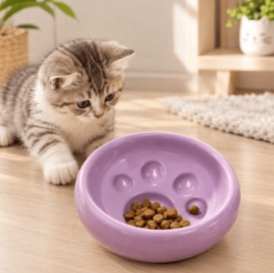 Purrfect Play - Bowl Cerámica Huellita
