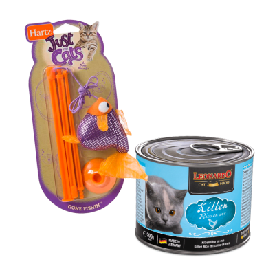 Pack Kitten1