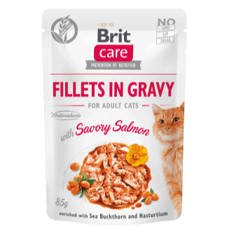 Brit Care - Fillets in Gravy Savory Salmon1