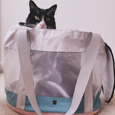 ZeeCat - Carrier Transportador1