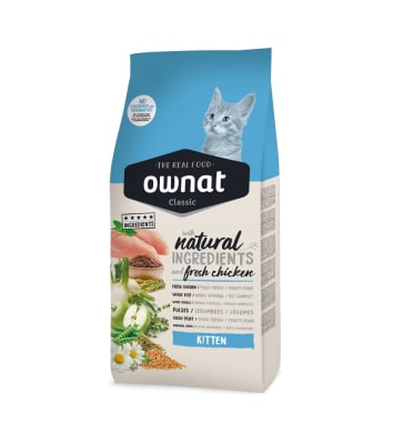Ownat - Classic Kitten