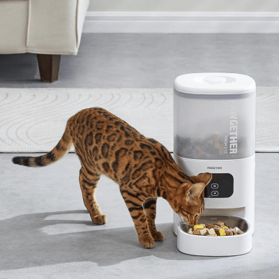 Pawgether - Comedero Automático Fresh 2s1