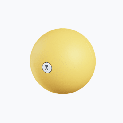 Pawgether - Pelota Interactiva All Fit1