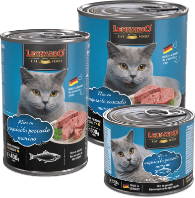 Leonardo - Quality Selection Fish