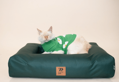 Pretty Pet - Suéter1