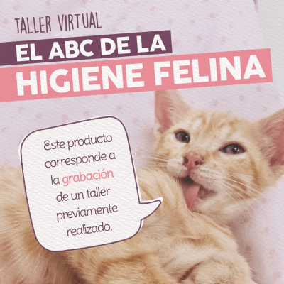 Taller - El ABC de la Higiene Felina