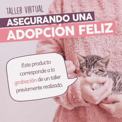 Taller - Asegurando una Adopción Feliz1