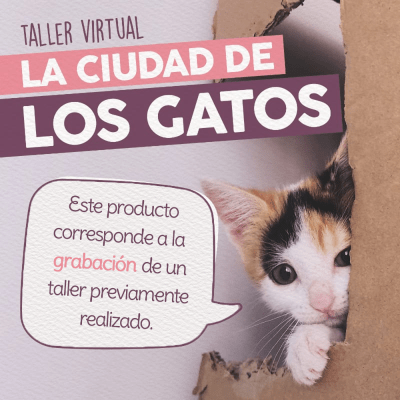 Taller - La Ciudad de los Gatos