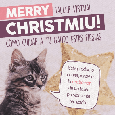 Taller - Cómo Cuidar a tu Gatito Estas Fiestas