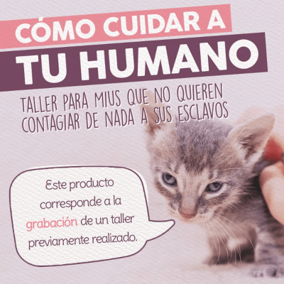 Taller - Cómo Cuidar a tu Humano