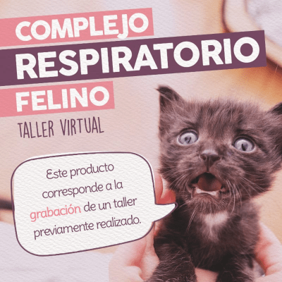 Taller - Complejo Respiratorio Felino