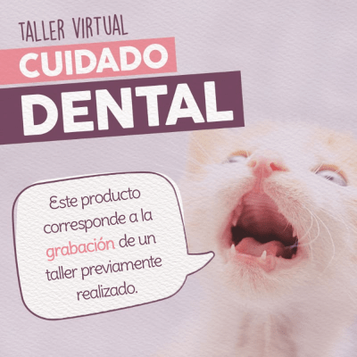 Taller - Cuidado Dental