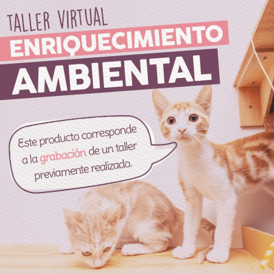 Taller - Enriquecimiento Ambiental
