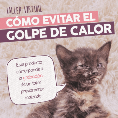 Taller - Cómo Evitar el Golpe de Calor1
