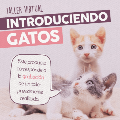 Taller - Introduciendo Gatos