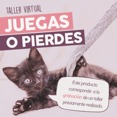 Taller - Juegas o Pierdes