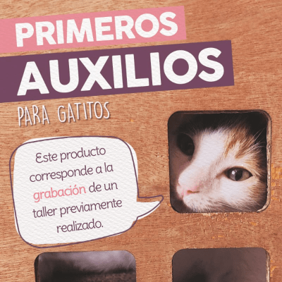 Taller - Primeros Auxilios