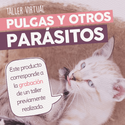 Taller - Pulgas y Otros Parásitos1