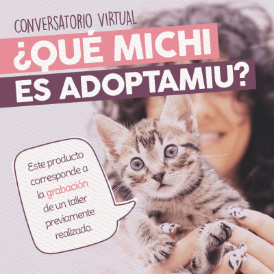 Conversatorio - Qué Michi es Adoptamiu1