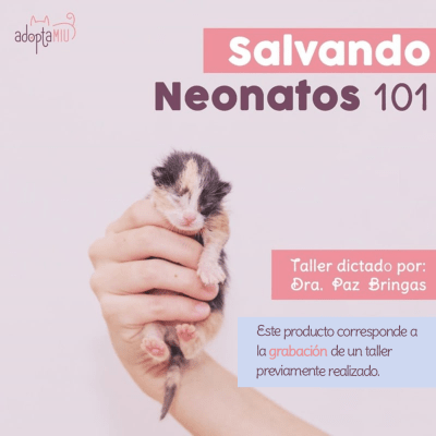 Taller - Salvando Neonatos1