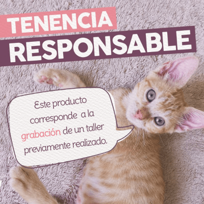 Taller - Tenencia Responsable