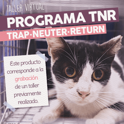 Taller - TNR