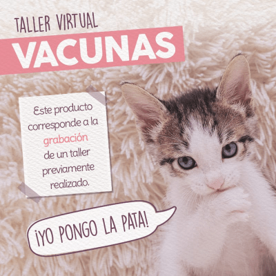 Taller - Vacunas
