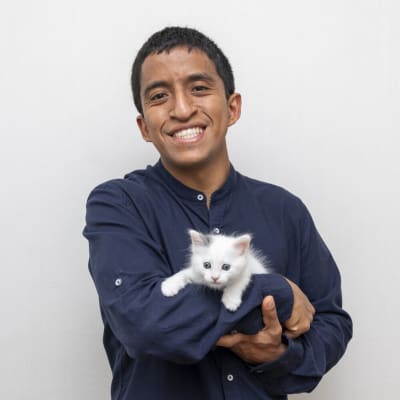 Consulta Nutricional Felina Virtual