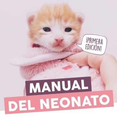 Manual Del Miu Neonato