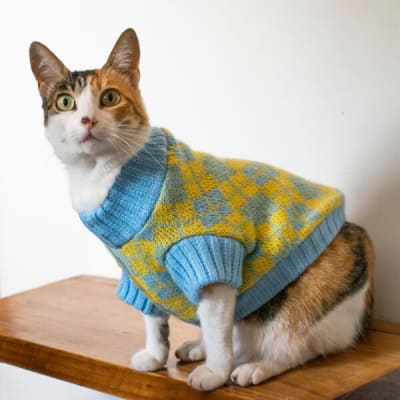 Rafiki Mascota - Chompas Rombos