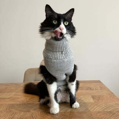 Rafiki Mascota - Chaleco Turtleneck1