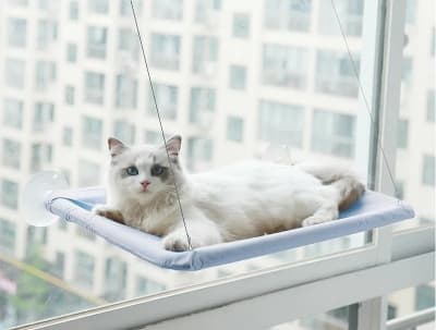 Silitter - Cama para Ventanas