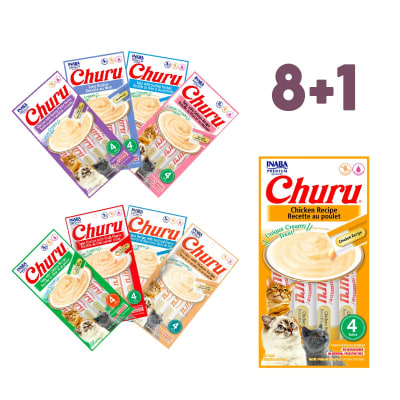 Churu - 8+1