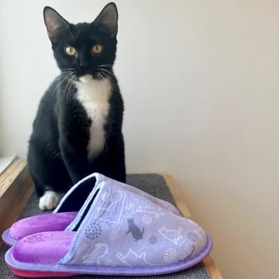 Mish - Pantuflas Lila