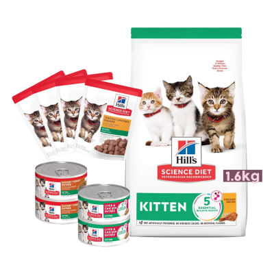 Kit Adopción Kitten Simple