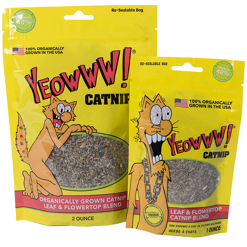 Kong Premium Catnip 1oz - La Niche à Luna - 8