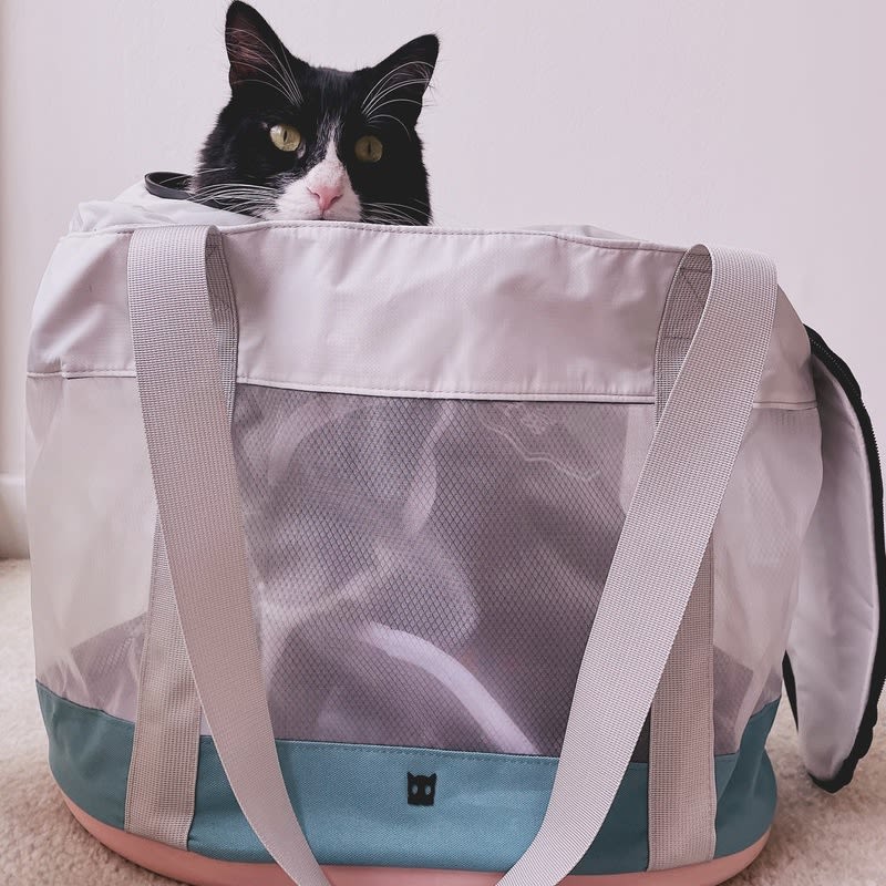 zeecat-carrier-transportador-miushop-compras-que-salvan-vidas