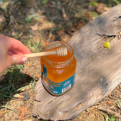 Cuchara mielera chica1