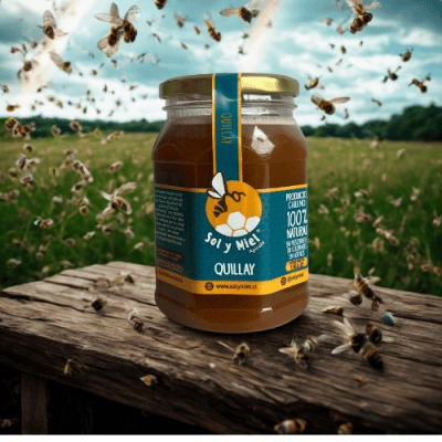Miel Quillay 1kg. Pet2