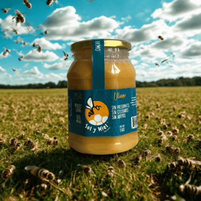 Miel Ulmo 1kg. Pet1